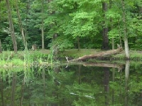 Ohio Hunting Guides and Outfitters
